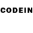 Галлюциногенные грибы GOLDEN TEACHER Branden Caceci