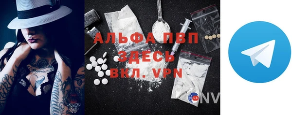 индика Волоколамск
