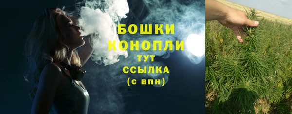 индика Волоколамск