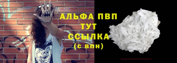 индика Волоколамск