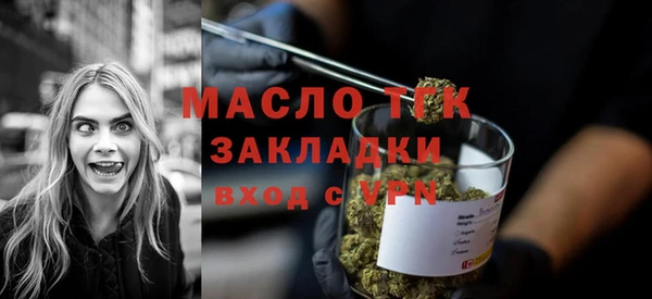 индика Волоколамск