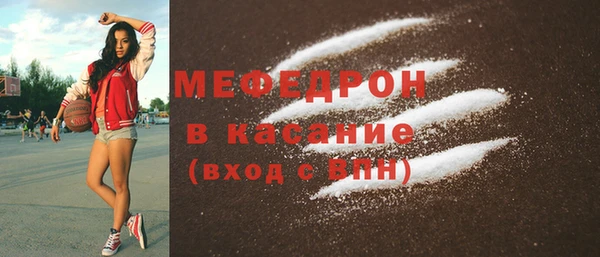 индика Волоколамск