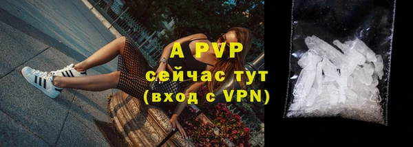 индика Волоколамск